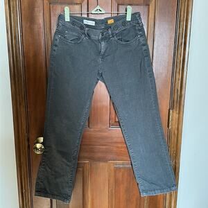 Pilcro and the Letterpress | Gray Low Rise Straight Jeans Size 28